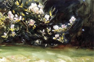 Magnolie — John Singer Sargent