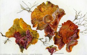 Lobster Mushrooms — Timothy John Williamson