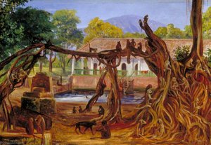 Blauwwater, Pasoeroewan, Java — Marianne North