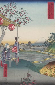 Teehaus Mit Blick Auf Den Berg Fuji In Zōshigaya (zōshigaya Fujimi Chaya) — Utagawa Hiroshige