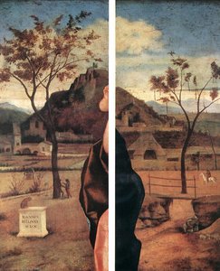Madonna Con Bambino Che Benedice (dettagli) — Giovanni Bellini