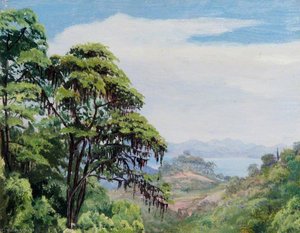 From Acqueduct Road, Rio, Brazil — Marianne North