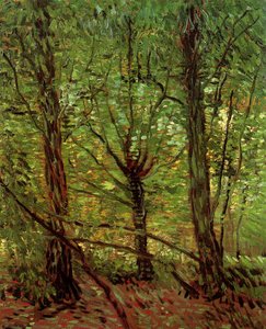 Árvores E Subjunto — Vincent Willem Van Gogh