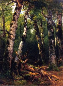 Grupo De Árboles — Asher Brown Durand