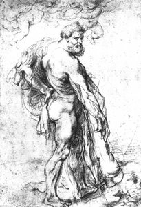 Heracles Coronado Por Géneos — Pedro Pablo Rubens