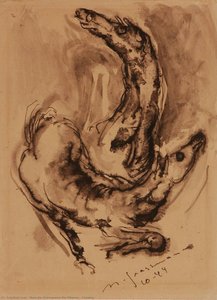 Cavalli — Marcelo Grassmann De Oliveira