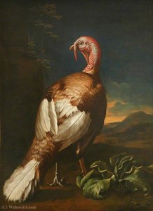 A Turkey In A Landscape — John Wootton