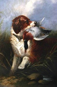 Dog And Mallard Waiting For Good Bag — Richard Ansdell