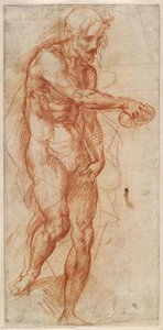Studio Per San Giovanni Battista — Andrea Del Sarto