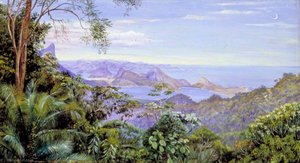 Bekijk Het Bay Van Rio En De Sugarloaf Berg, Brazilië — Marianne North