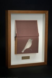Dusky Robin — Kylie Stillman
