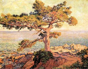 Pino Junto Al Mar Mediterráneo — Theo Van Rysselberghe
