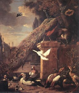 Peacocks And Ducks — Melchior De Hondecoetter