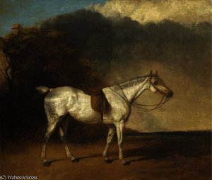 A Saddled Grey Hunter In A Landscape — Abraham Cooper