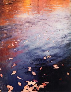 Pool In A Brook, Pond Brook, New Hampshire, October 4, 1953 — ელიოტი პორტერი