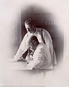 Professors Koch And Pfeiffer Working In A Laboratory — Wellcome Library