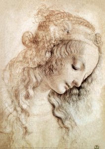 Untitled — Leonardo Da Vinči