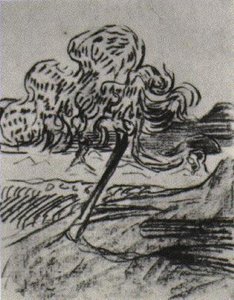 Étude D'un Arbre Fruitiers — Vincent Willem Van Gogh