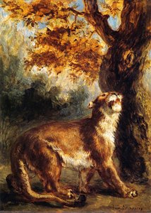 La Lionne Chassant Sa Bête — Eugène Delacroix