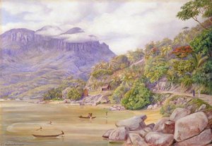 Pescuirea Cu Furnici La Port Victoria, Mahé, Seychelles — Marianne North