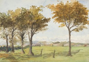Manx Landscape With Trees — جورجينا غور كوري