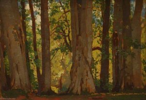 Woodland Scene — Samuel John Lamorna Birch