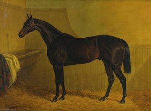 Lottery — John Frederick Herring Senior