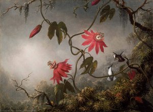 Jungle Orchids And Hummingbirds — Martin Johnson Heade