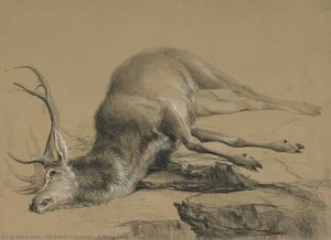 Un Cerf Mort — Sir Edwin Henry Landseer