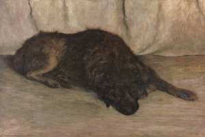 Dog — Hans Emmenegger