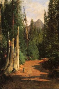 Black Butte, Mount Shasta — Thomas Hill