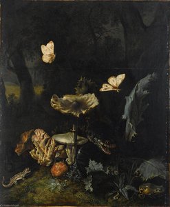 A Forest Floor Still Life With Various Fungi, Thistles, An Aspic Viper, Etc — Otto Marseus Van Schrieck