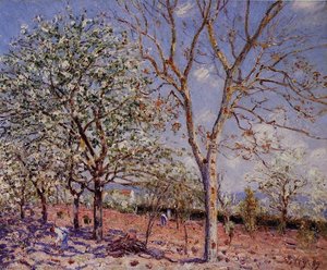 Pflaumen- Und Walnussbäume Im Frühling — Alfred Sisley