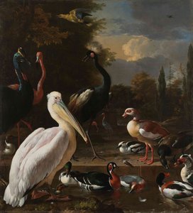 The Floating Feather — Melchior De Hondecoetter