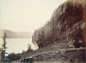 Untitled (aqtdlr) — Carleton Watkins