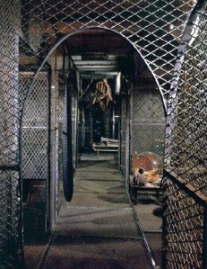 Dangerous Passage — Louise Joséphine Bourgeois