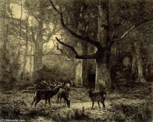 Foret De Fontainbleau — Karl Bodmer