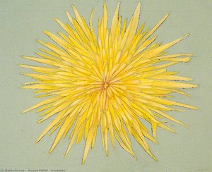 Dandelion — Shyama Ruffell