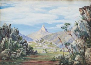 Rocky Landscape — Marianne North