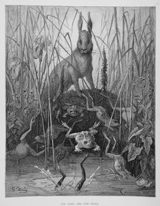 El Conejo Y Las Ranitas — Paul Gustave Doré