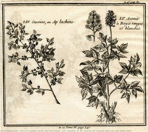 Liv. Cassine, Or Ap Lachine Lv. Acason With Red And White Bays — Pierre François Xavier De Charlevoix