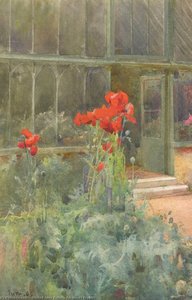 Foxgloves Poppies — Mildred Anne Butler