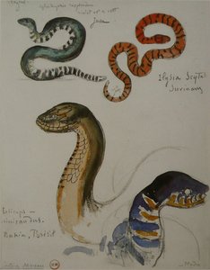 Four Studies Of Snakes — Gustave Moreau