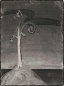 Senza Titolo — Georgia O'keeffe