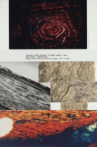 Contour Lines Scribed In Swamp Grass — डेनिस ओपेनहाइम