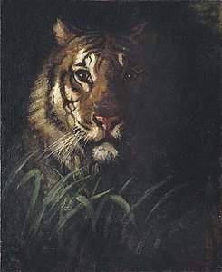 Tiger's Head, (painting) — Abbott Handerson Thayer