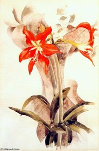 Amaryllis — Charles Demuth
