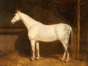 A Grey Hunter In A Stable — Sr John E Ferneley