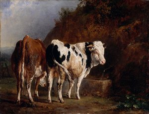 Taureau Et Vache À L'abreuvoir — Jacques Raymond Brascassat
