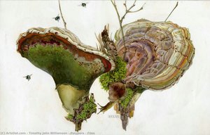 Polypore & Flies — Timothy John Williamson